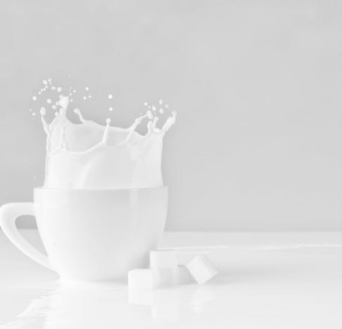 NEOHpedia | Whole Milk Powder / Whey Powder 🥛